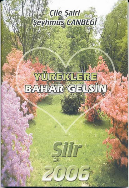 ŞAİR ALTINCI KİTABINI ÇIKARDI