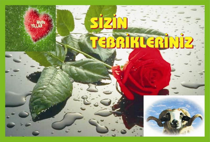 SİZİN BAYRAM TEBRİKLERİNİZ