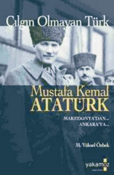 Çılgın Olmayan Türk