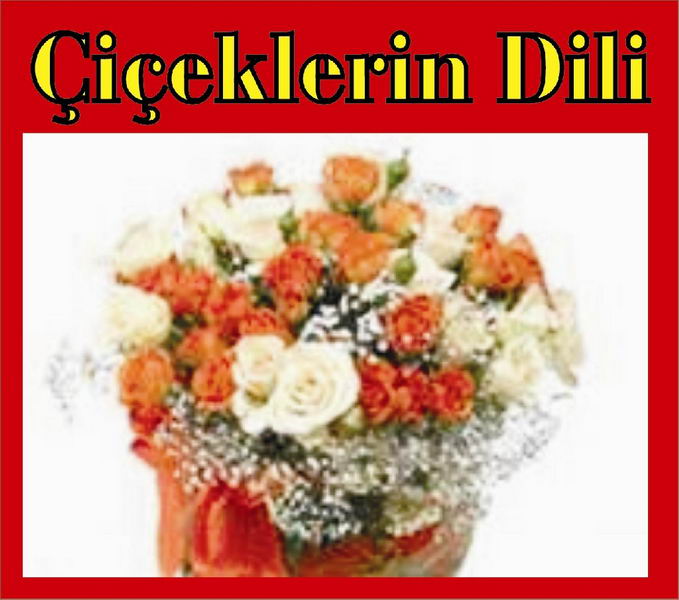 İşte çiçeklerin dili