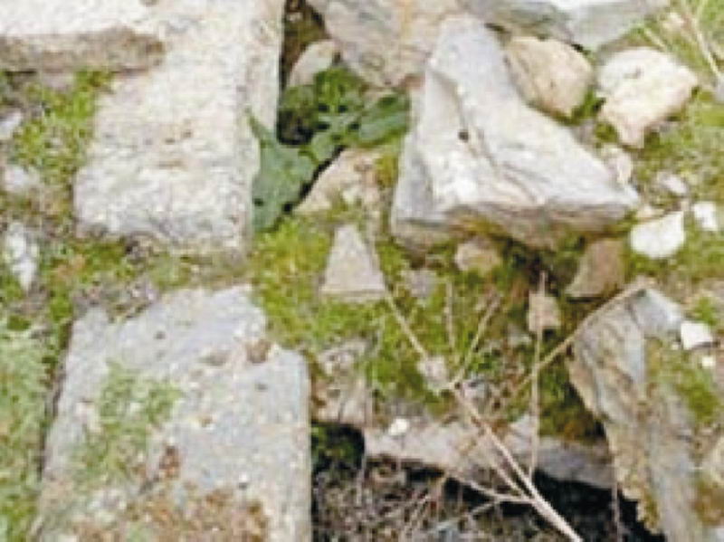 Iğdırlıları şaşırtan sıcak su olayı