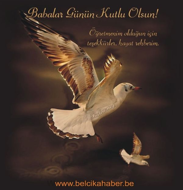 BU GÜN BABALAR GÜNÜ
