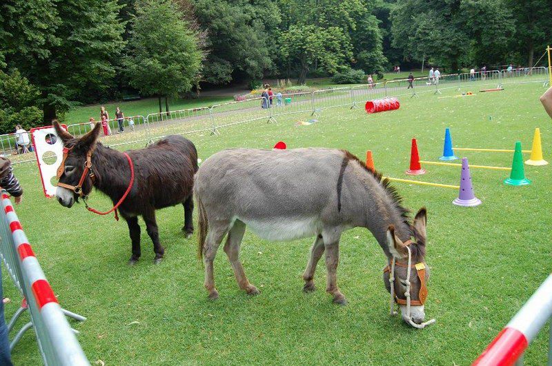 Schaerbeek'te Kiraz Festivali coşkuluydu