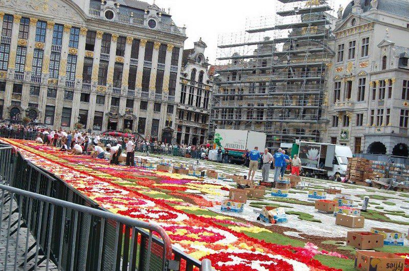 Place Grand'aki çiçek halı görücüye çıktı