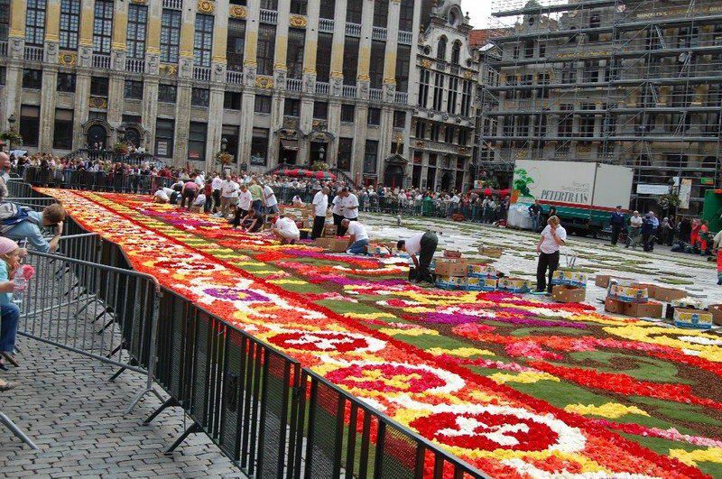 Place Grand'aki çiçek halı görücüye çıktı