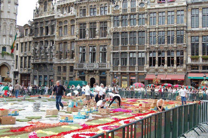 Place Grand'aki çiçek halı görücüye çıktı