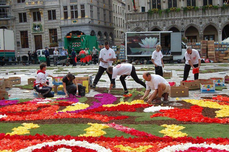 Place Grand'aki çiçek halı görücüye çıktı