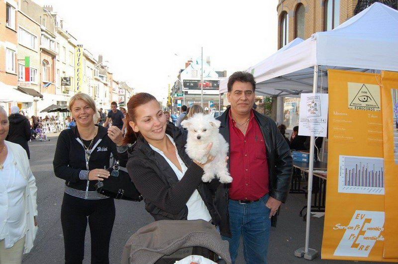 EVERE'DE 'EN GÜZEL KÖPEK' YARIŞMASI
