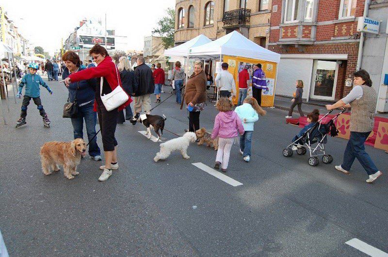 EVERE'DE 'EN GÜZEL KÖPEK' YARIŞMASI