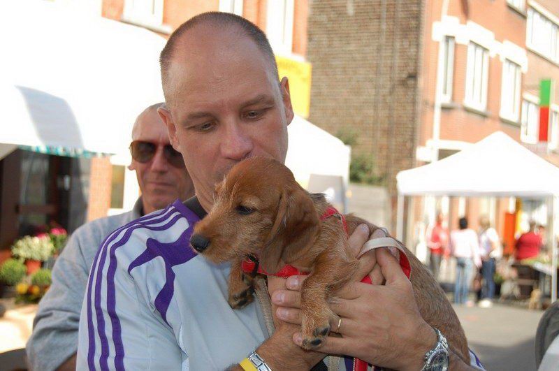 EVERE'DE 'EN GÜZEL KÖPEK' YARIŞMASI