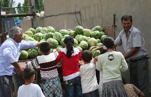 Bedava karpuza hücum