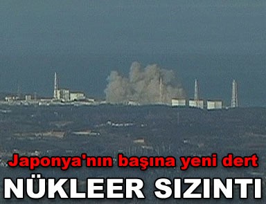 Japonya'nın başına yeni dert: Nükleer sızıntı 