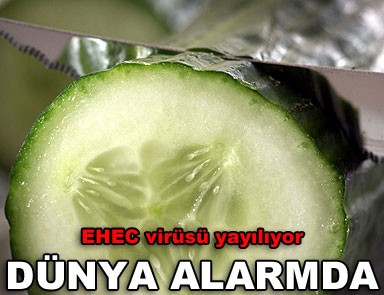 EHEC virüsü yayılıyor, tedirginlik artıyor 