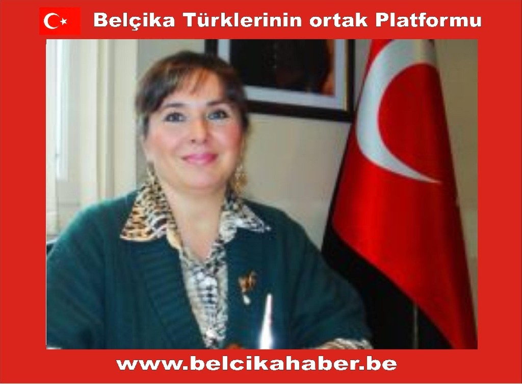 Sırbistan'da AB ehliyetlerinin tanınması   