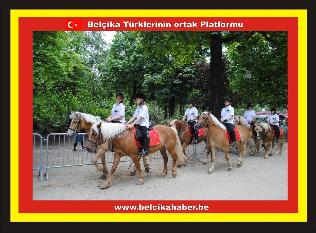 BELÇİKA ULUSAL BAYRAMINI COŞKUYLA KUTLADI