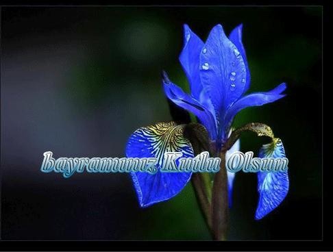 RAMAZAN BAYRAMINIZI TEBRİK EDERİZ
