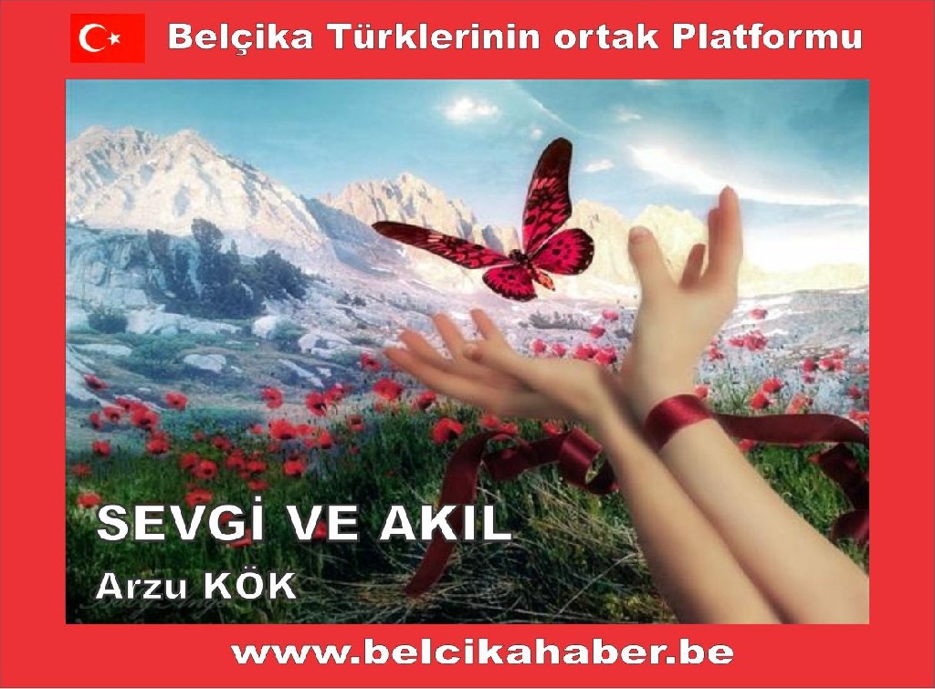 SEVGİ VE AKIL/ Arzu KÖK