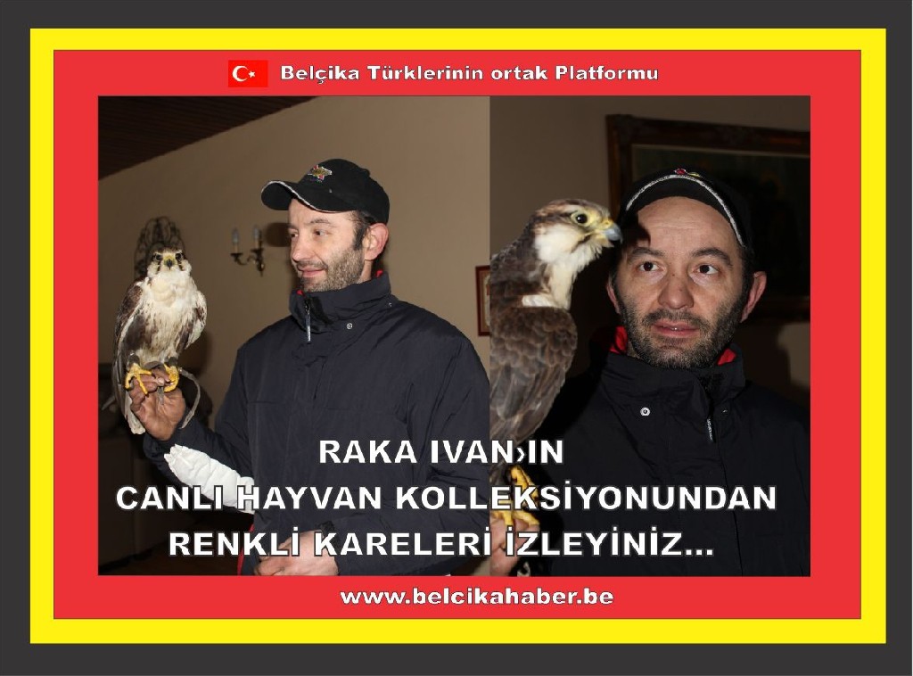 İŞADAMI RAKA IVAN'IN HAYVAN SEVGİSİNİ SİZLERLE PAYLAŞIYORUZ