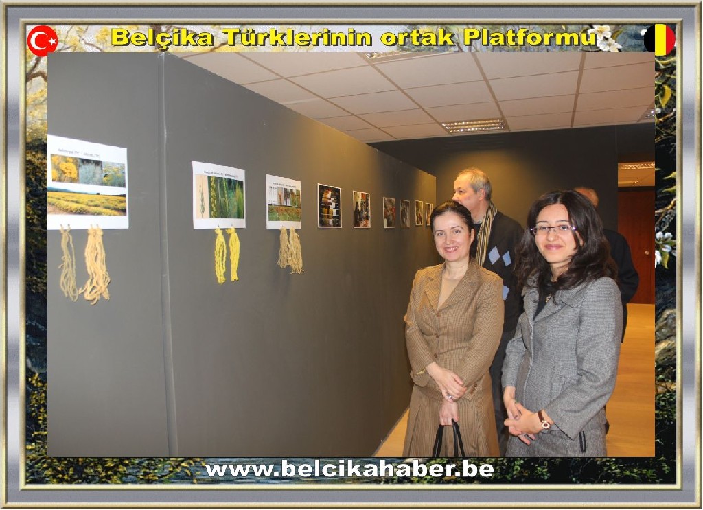 KİLİMLER KÜLTÜREL ZENGİNLİĞİN VE ÇOK KÜLTÜRLÜLÜĞÜN SİMGELERİDİR