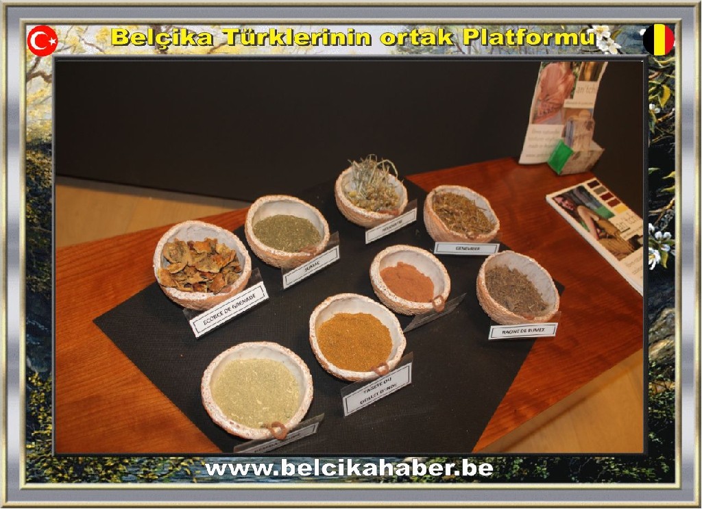 KİLİMLER KÜLTÜREL ZENGİNLİĞİN VE ÇOK KÜLTÜRLÜLÜĞÜN SİMGELERİDİR