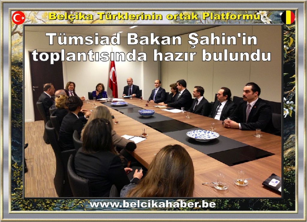 Tümsiad Bakan Şahin'in toplantısında hazır bulundu