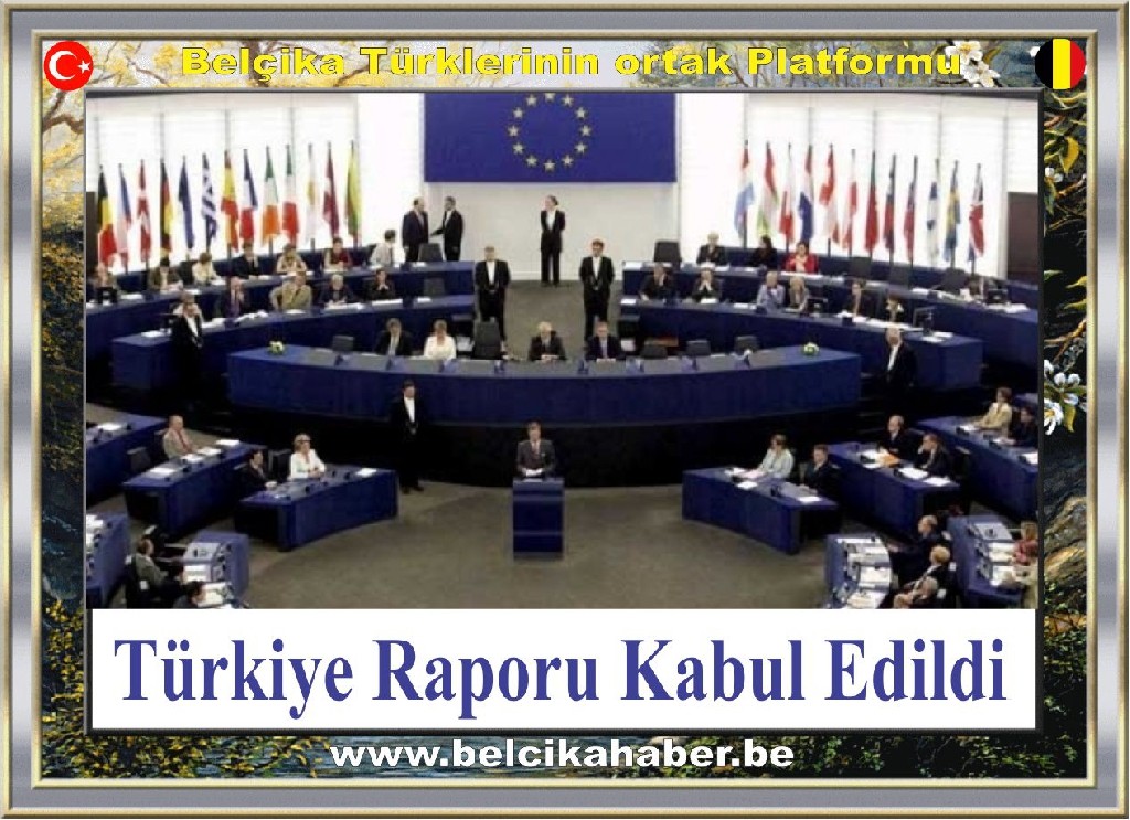 Türkiye Raporu Kabul Edildi
