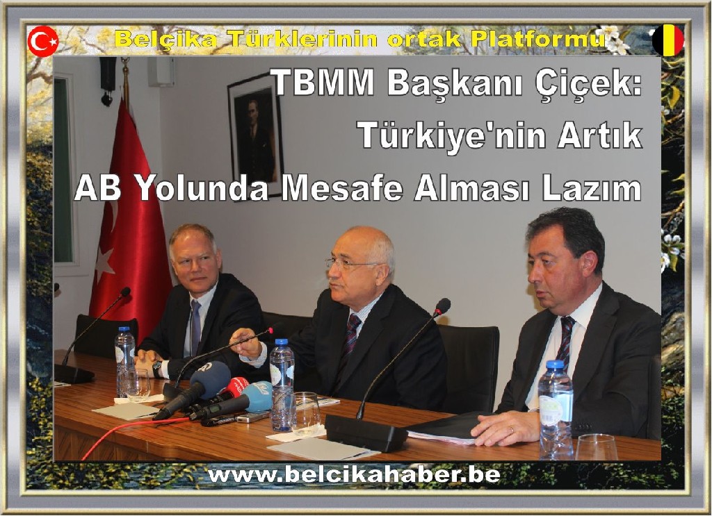 TBMM Başkanı Çiçek: Türkiye'nin Artık AB Yolunda Mesafe Alması Lazım