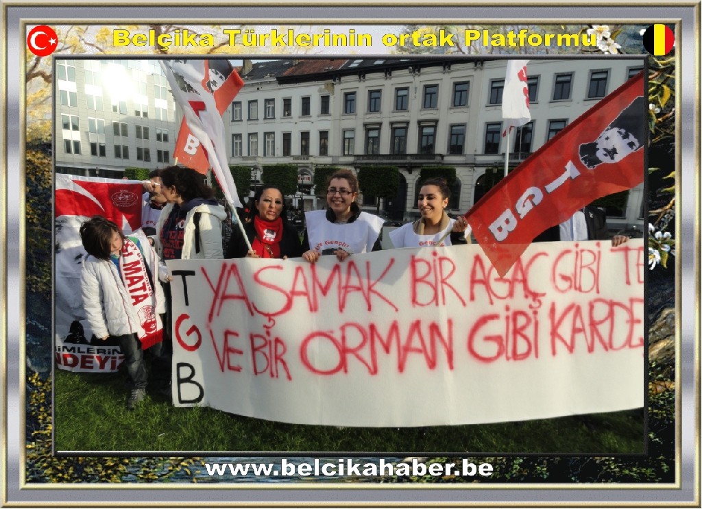Gezi Parki protestosu hakkinda Türkiye Gençlik Birliği Belçika Basın Açıklaması