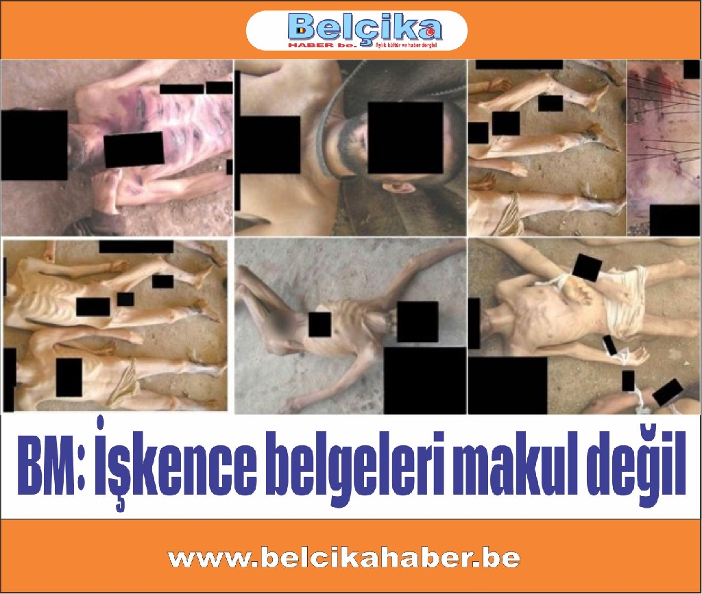 BM:İşkence belgeleri makul değil