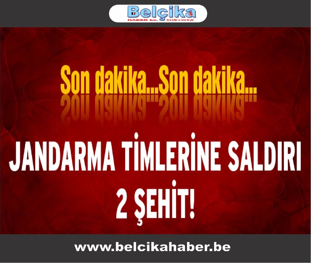 Jandarma timlerine saldırı: 2 şehit var