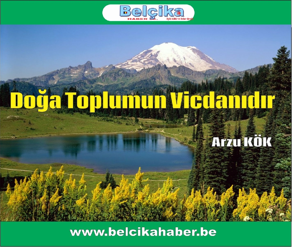 Doğa Toplumun Vicdanıdır/ Arzu KÖK