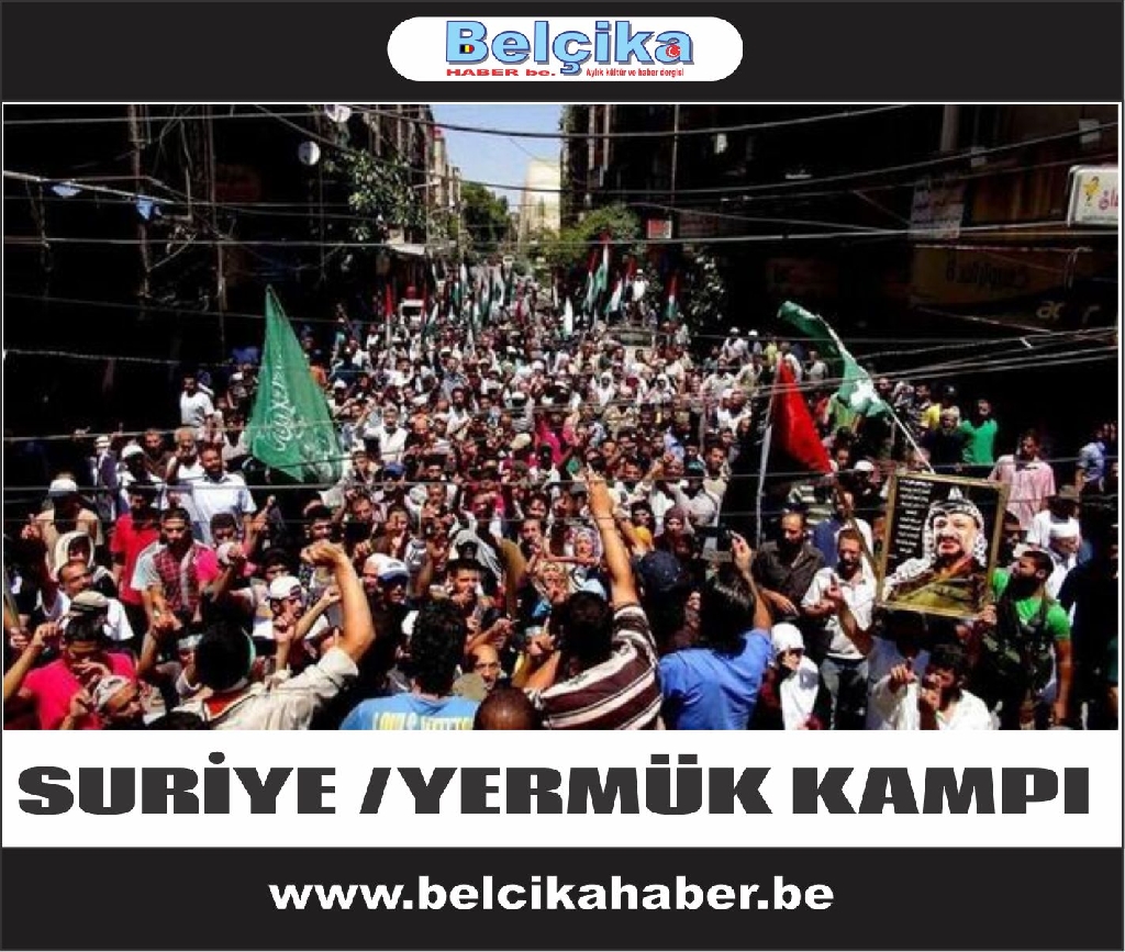Gazze İçin Dünya ayakta ‘Savaş Değil Katliam’