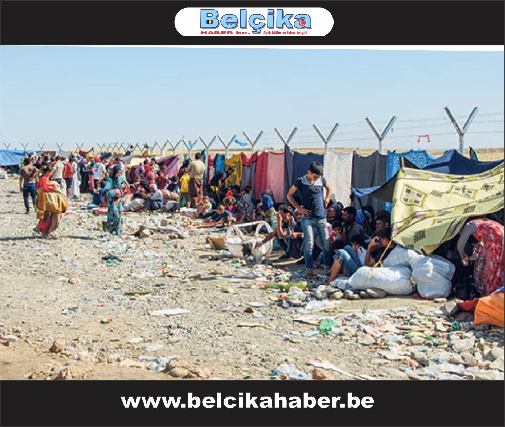 Türkmenler: Türkiye Neden Bize Sahip Çıkmıyor?