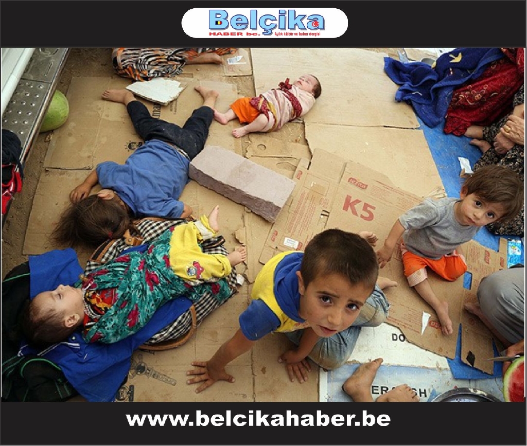 Türkmenler: Türkiye Neden Bize Sahip Çıkmıyor?