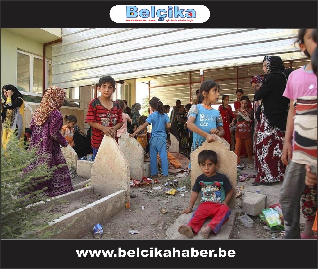 Türkmenler: Türkiye Neden Bize Sahip Çıkmıyor?
