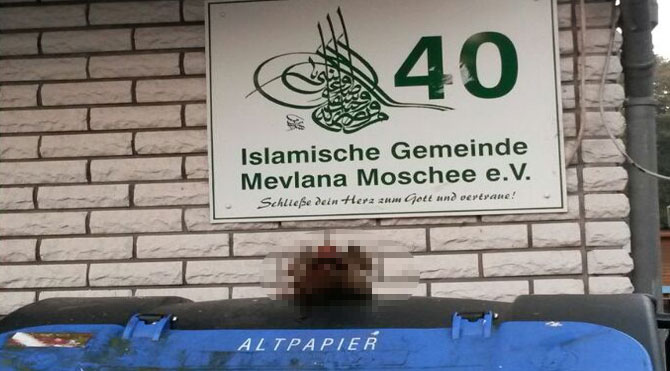 Almanya’da ‘domuz provokasyonu’