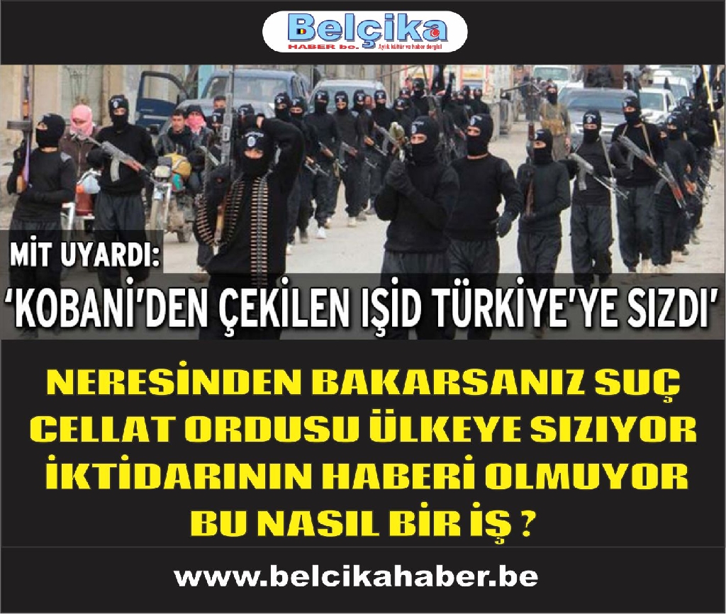 MİT: Kobani’den çekilen IŞİD Türkiye’ye sızdı