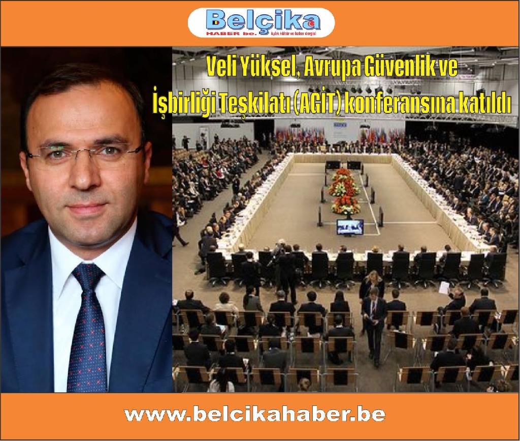 Veli Yüksel, Avrupa Güvenlik ve İşbirliği Teşkilatı (AGİT) konferansına katıldı