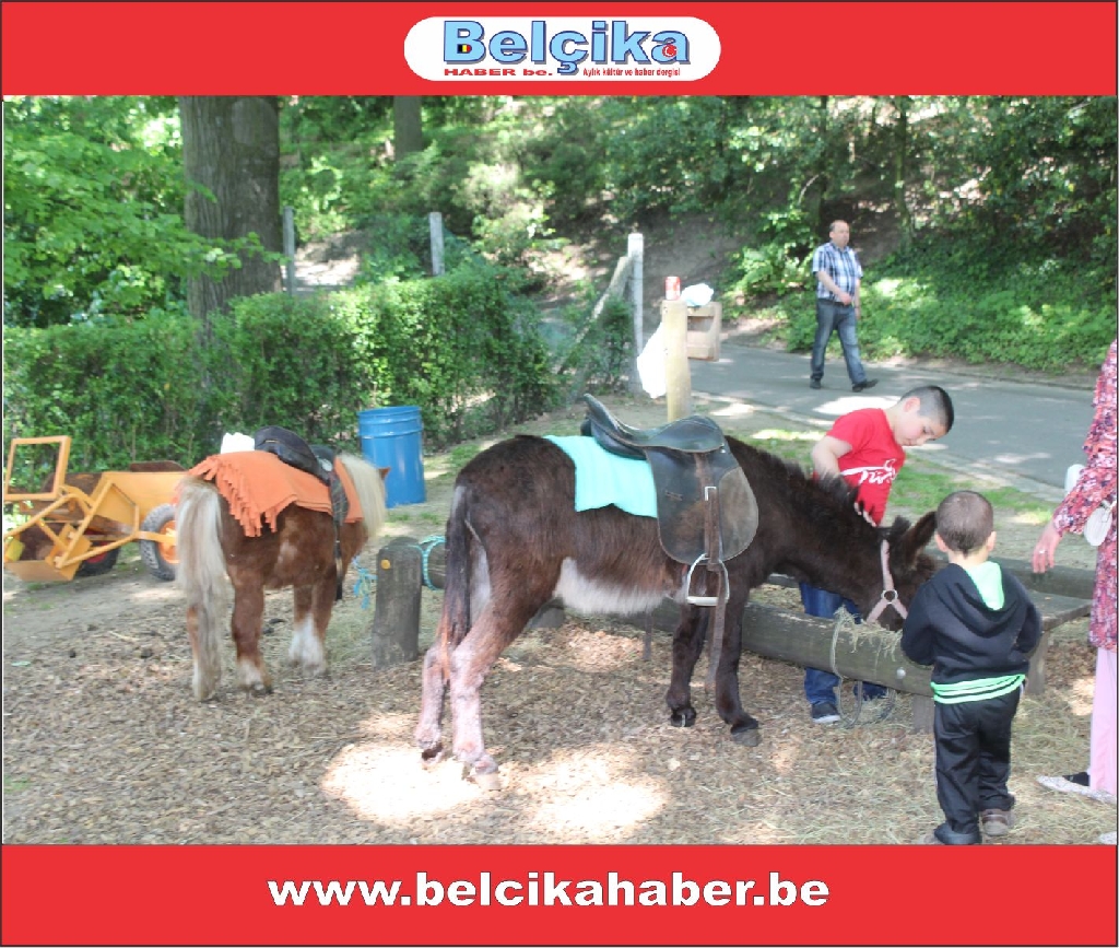 SPOR VE GENÇLİK FESTİVALİNDE BÜYÜK COŞKU VARDI