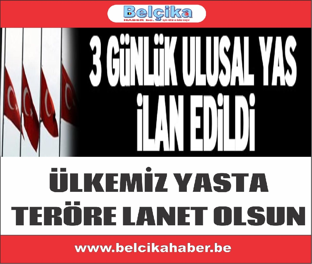 BAŞBAKAN DAVUTOĞLU : 