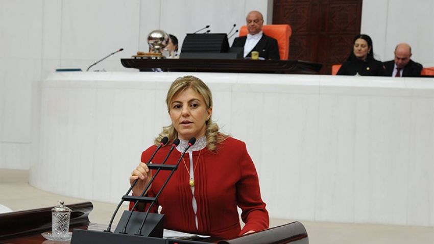 AKP ESKİ BURSA MİLLETVEKİLİ TULİN ERKAL KARA ÜSKÜP BÜYÜKELÇİSİ OLDU