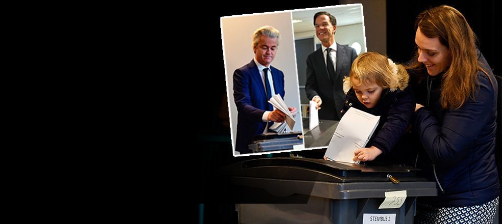 Hollanda sandık başında... İşte son seçim anketinden çıkan sonuç ve ırkçı Wilders'ın partisine rest