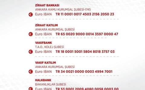 BİZ BİZE YETERİZ TÜRKİYEM, MİLLİ DAYANIŞMA KAMPANYASI