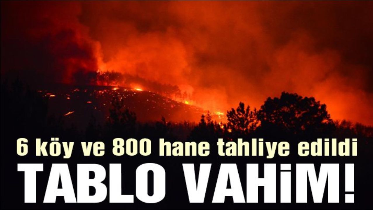 Adanaâ€™da orman yangınına müdahale sürüyor