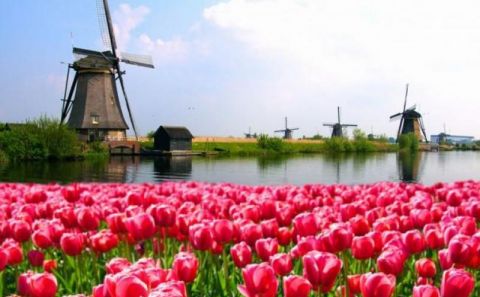 ~~Hollanda 29 Aralık'tan itibaren hava yoluyla gelenlere 