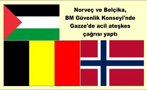 Norveç ve Belçika, BM Güvenlik Konseyi'nde Gazze'de acil ateşkes çağrısı yaptı